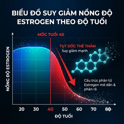 Thực Đơn “Chữa Lành” Cơn Bốc Hỏa Tiền Mãn Kinh: 5 Nhóm Thực Phẩm Chị Em U40 Nhất Định Phải Biết