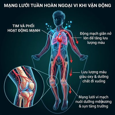 Nhảy Dây Có Tăng Chiều Cao Không? Xu Hướng “Vận Động Xanh” Cho Trẻ Tuổi Dậy Thì