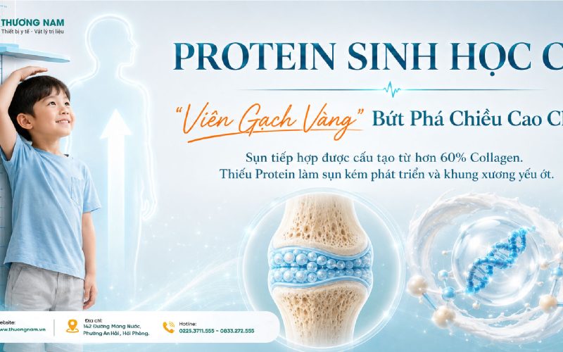 Protein Sinh Học Cao: “Viên Gạch Vàng” Xây Dựng Khung Xương Dẻo Dai Cho Trẻ!