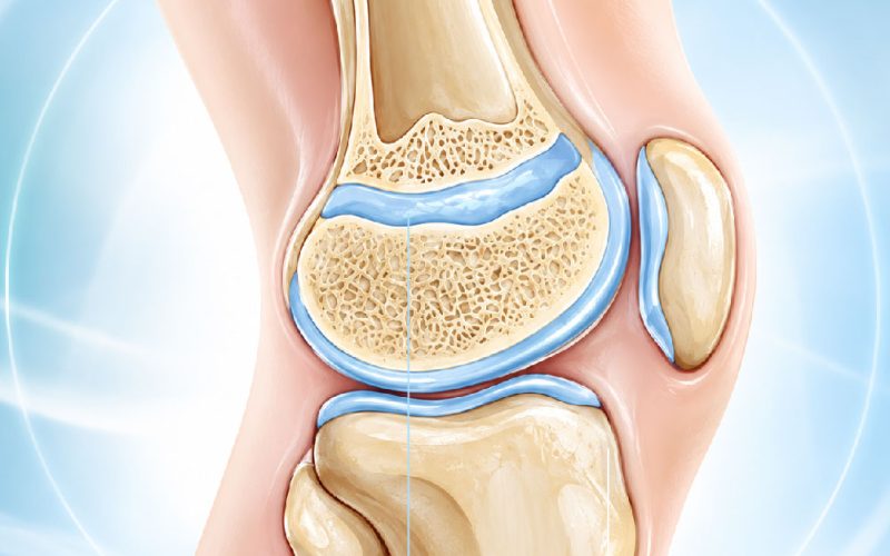BÍ MẬT CHIỀU CAO CỦA TRẺ NẰM Ở 3 ĐĨA SỤN TĂNG TRƯỞNG TRẺ EM TẠI KHỚP GỐI